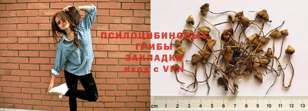 бутират Каменка